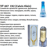 Reni 447 Аромат направления CK2 (Calvin Klein) - 100 мл - фото